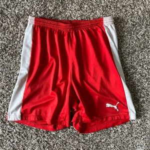 Puma athletic shorts